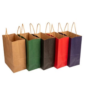 Recycled Brown Paper Bag