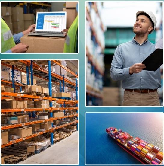 Supply Chain Complexity