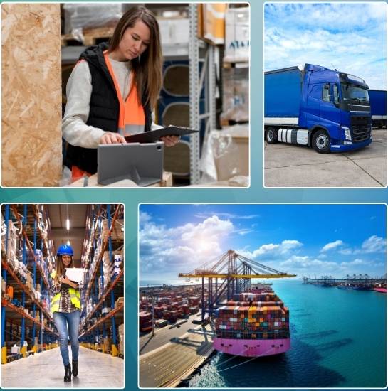 Packaging and Logistics