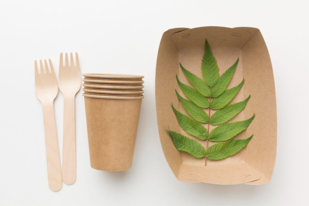 Plastic-Free Packaging for Shipping Fragile Items