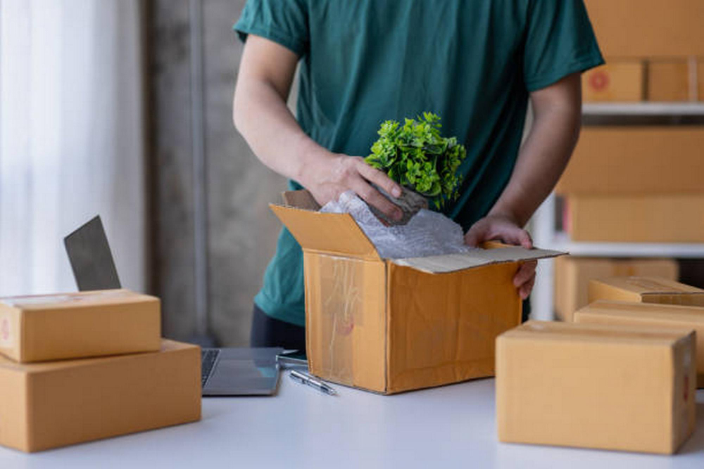 Plastic-Free Shipping for Fragile Goods