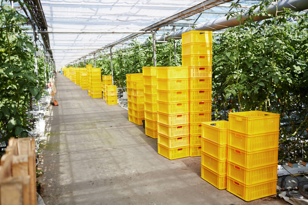 industrial packaging companies Banksia Grove