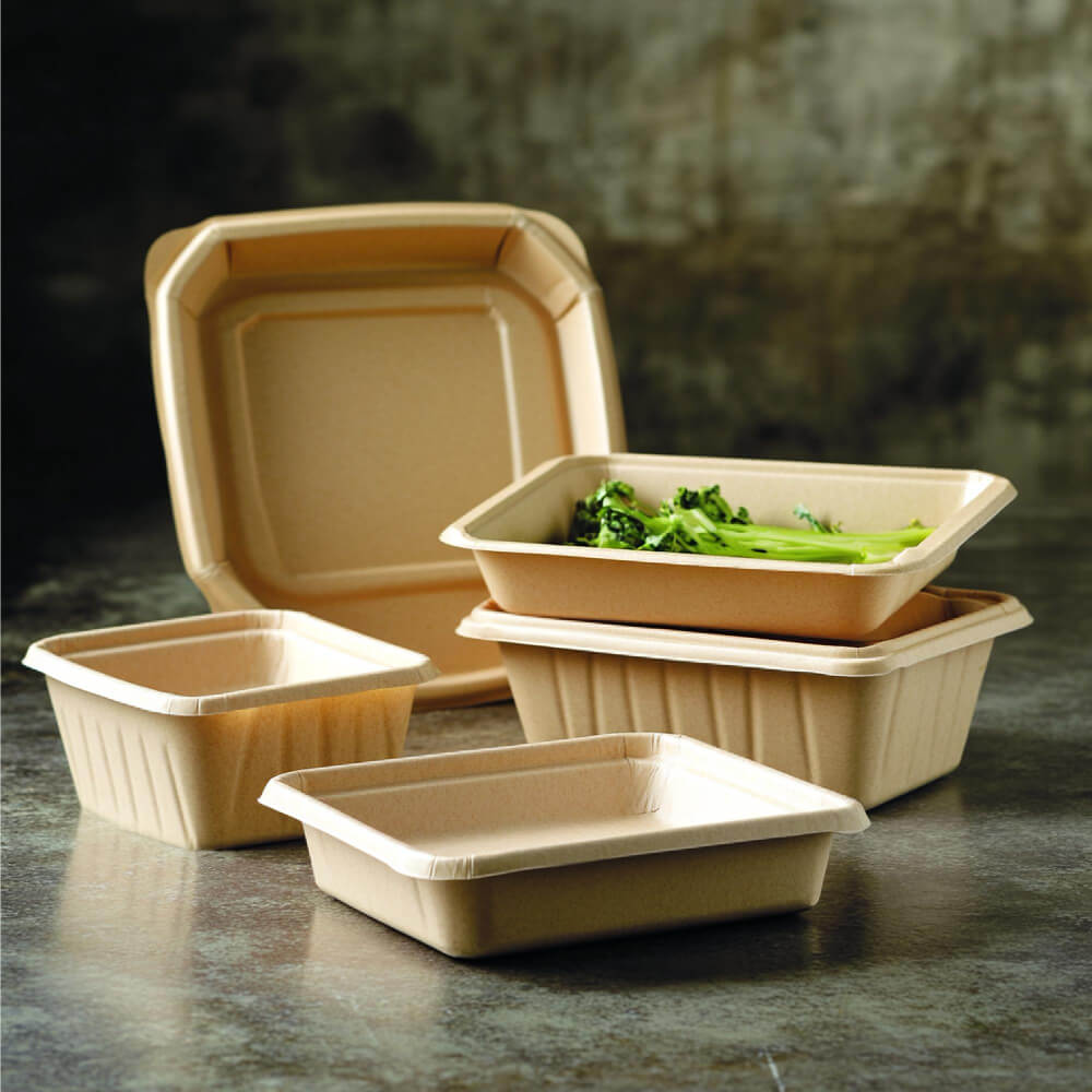 Compostable 5 Compartment Food Trays