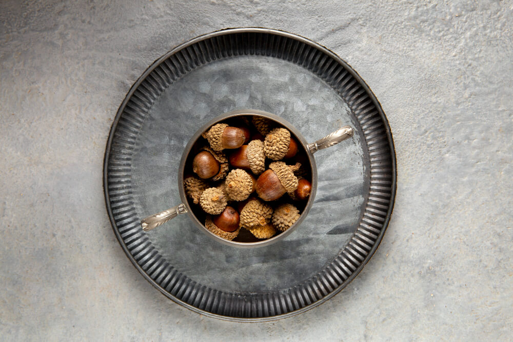 Round Compartment Tray Dollar Tree