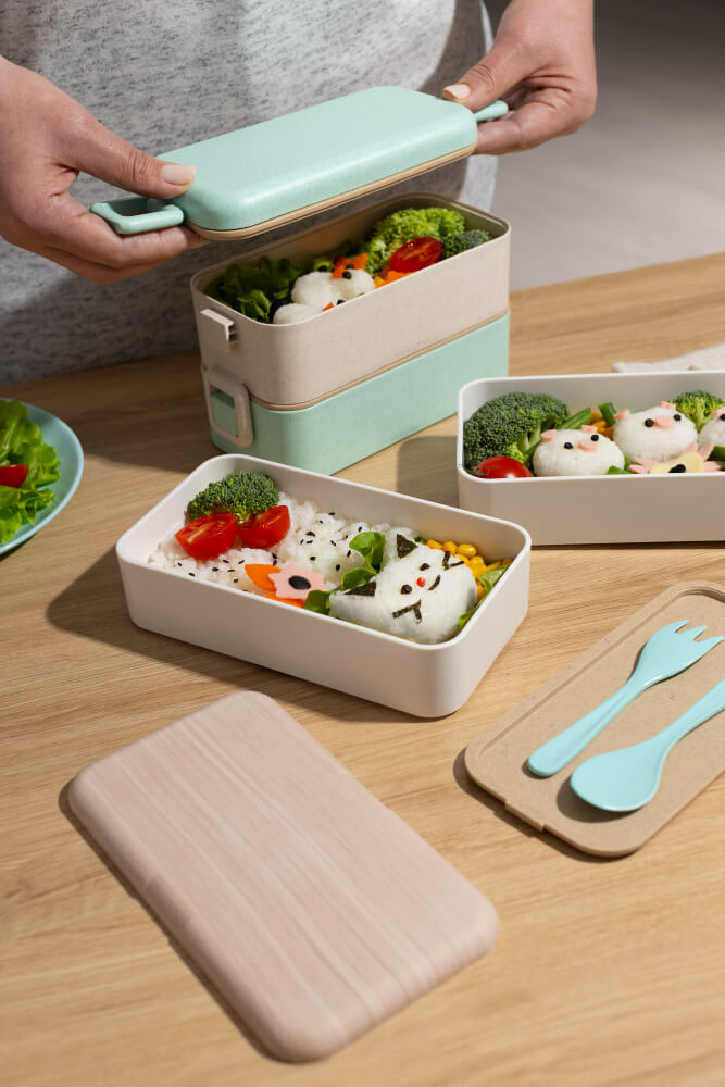 compartment lunch boxes